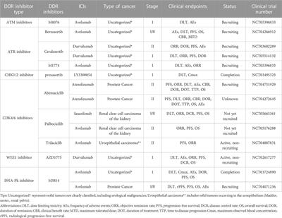 The mechanism and clinical application of DNA damage repair inhibitors combined with immune checkpoint inhibitors in the treatment of urologic cancer